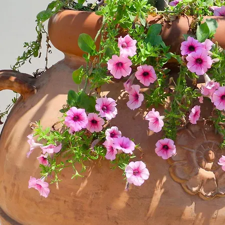 Hotel Relais Sant'eligio Ostuni