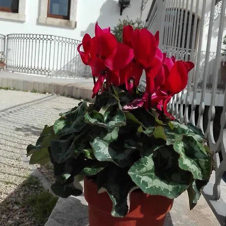 Relais Sant'eligio Hotel Ostuni